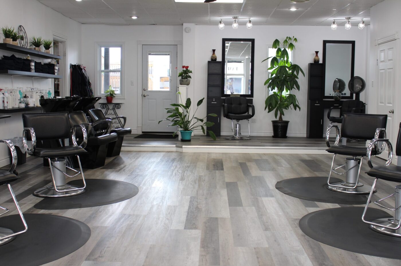 salon 1
