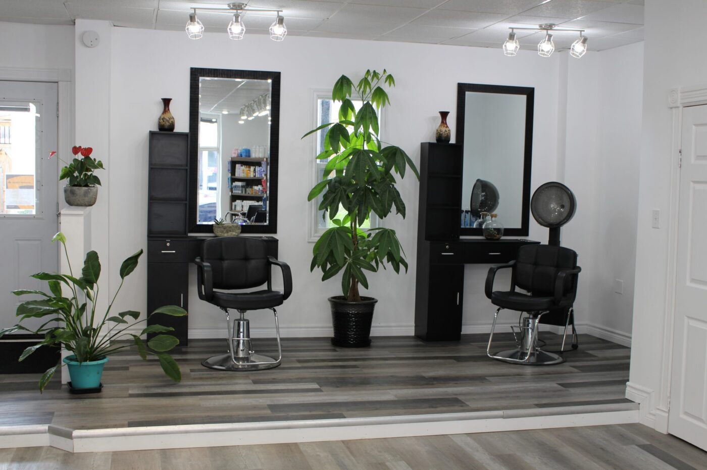 salon 3